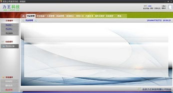 投资公司管理系统5.2安装指南与界面展示
